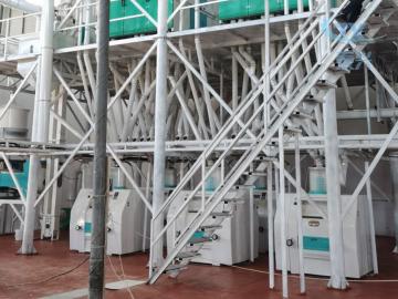 Cream of Maize Flour Production Line