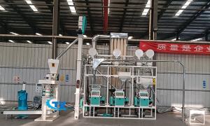 10 tpd Whole Wheat Flour Machine shipped to Canada